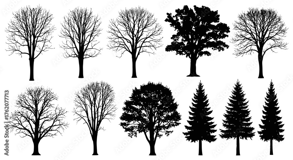 Fototapeta premium A series of tree silhouettes. Isolated on a white background. 