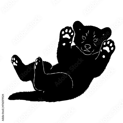 Black bear cub playing on back playful cute
