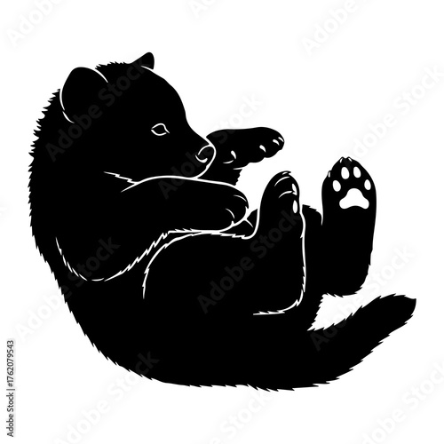 Black bear cub rolling playfully silhouette paws
