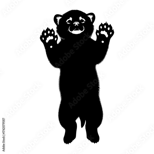 Black bear cub standing on hind legs silhouette paws up
