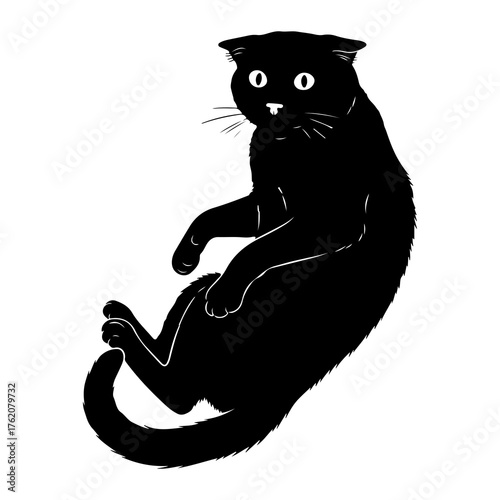 Black cat lying on back silhouette lying down