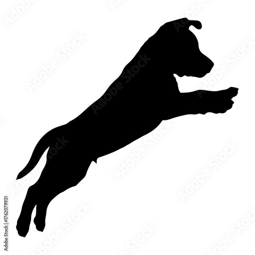 Black dog leaping mid air silhouette white background