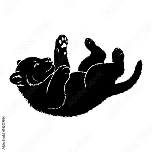 Black cub rolling playful animal