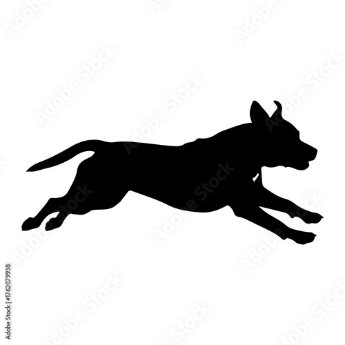 Black dog running silhouette canine animal