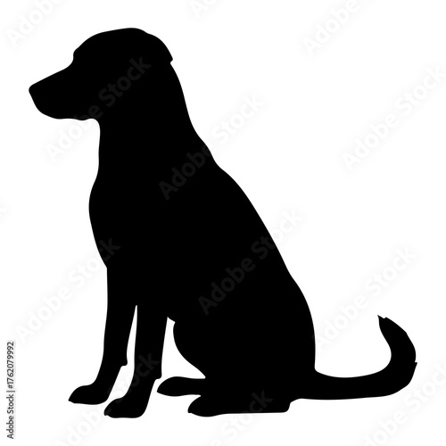 Black dog silhouette sitting patiently white