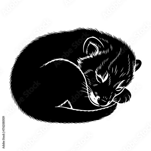 Black ferret curled sleeping animal