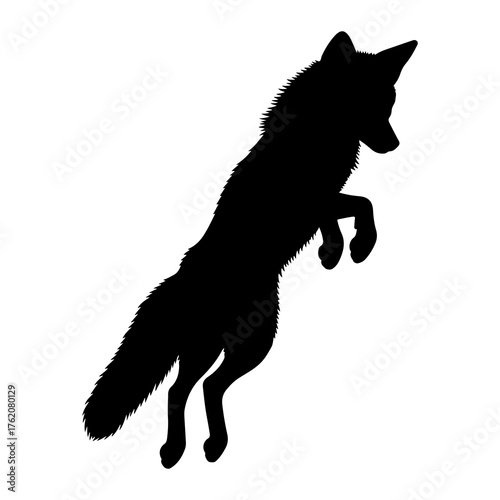 Black fox leaping mid air silhouette jumping