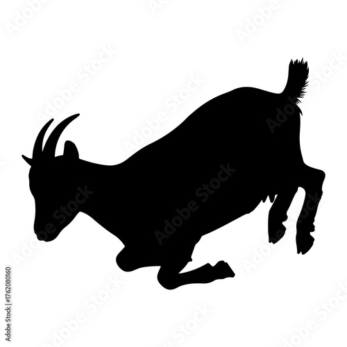 Black goat silhouette jumping white