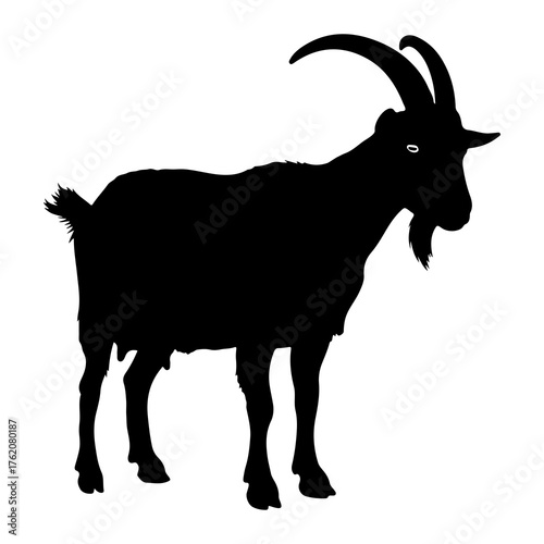 Black goat silhouette standing animal white background