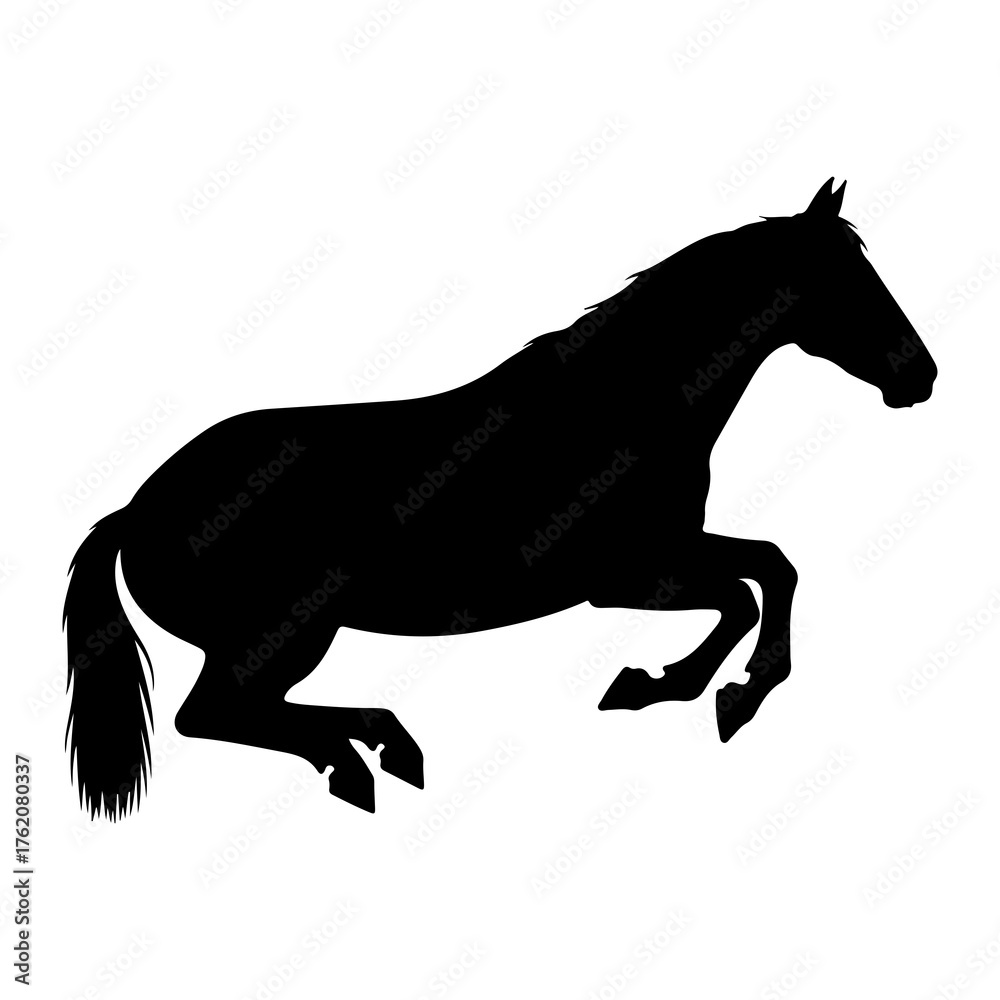 Fototapeta premium Black horse leaping silhouette white