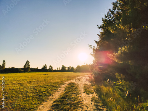Poranek na drodze leśnej Dolina Baryczy