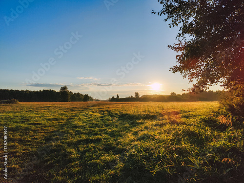 Wschód słońca na ścieżce leśnej
