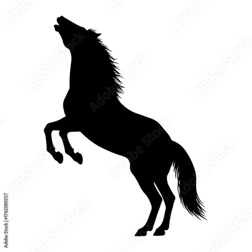 Black horse rearing on hind legs silhouette animal
