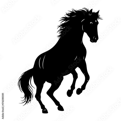 Black horse rearing on white background silhouette