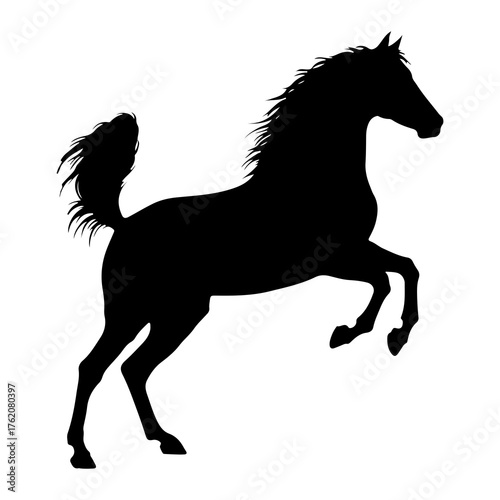 Black horse rearing silhouette white