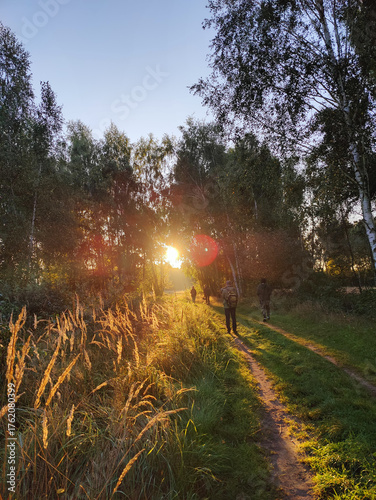 Wschód słońca na ścieżce leśnej