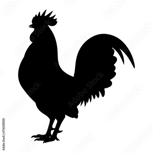 Black rooster silhouette standing white background