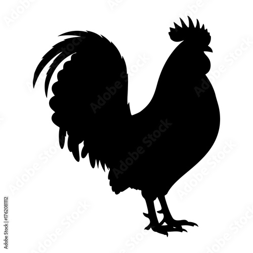 Black rooster silhouette profile white bird