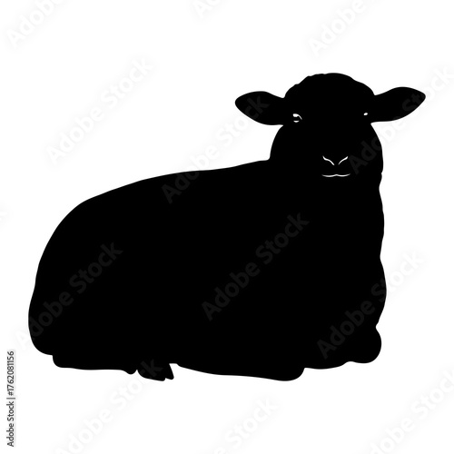 Black sheep silhouette resting animal farm