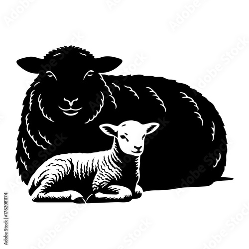 Black sheep and white lamb resting farm animals livestock