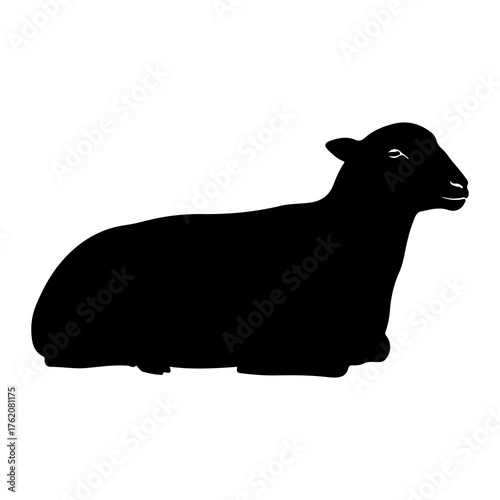 Black sheep resting profile animal silhouette profile view