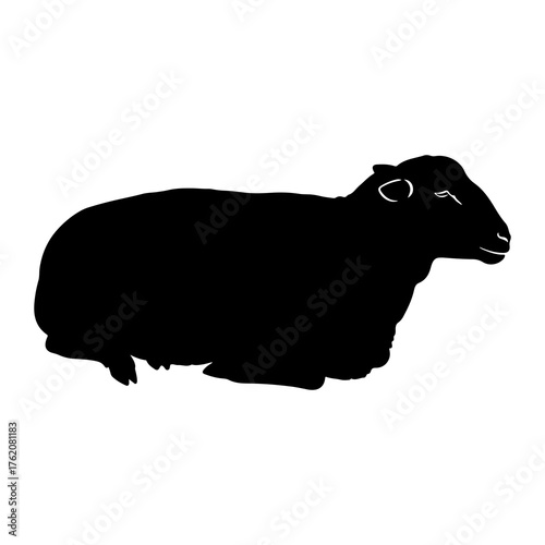 Black sheep silhouette resting farm animal woolly sheep