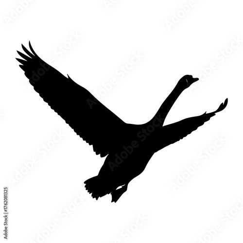 Black silhouette of a flying swan white