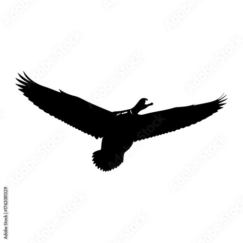 Black silhouette of a goose in flight bird flying