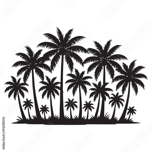 palm tree forest silhouette