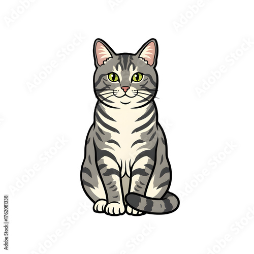 American Shorthair
