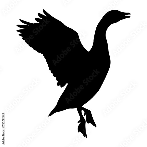 Black silhouette of a goose in flight white bird