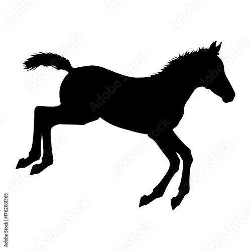 Black silhouette of a jumping foal white