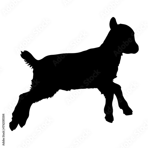 Black silhouette of a leaping baby goat white background