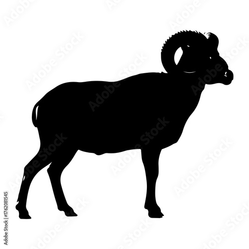 Black silhouette of a ram with large curled horns bighorn sheep