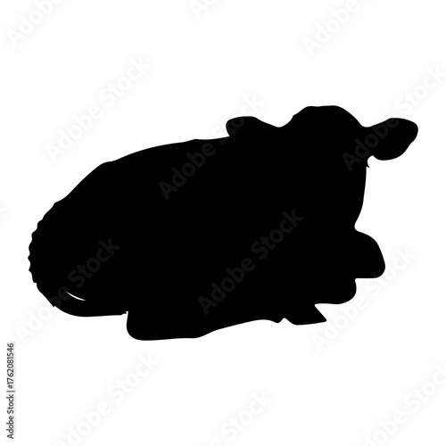 Black silhouette of a resting cow white animal