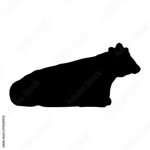 Black silhouette of a resting cow lying down