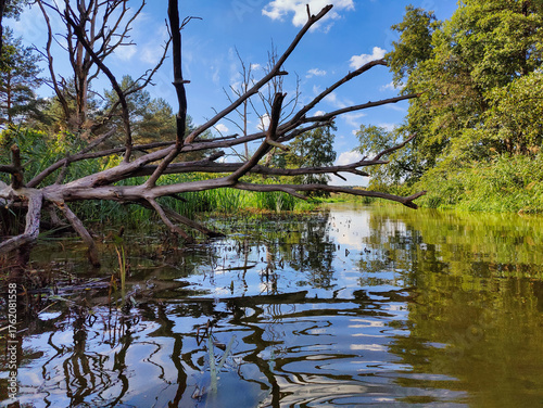 spływ rzeką Barcz w Dolina Baryczy