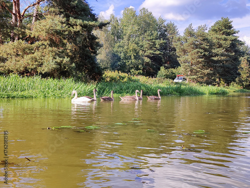 spływ rzeką Barcz w Dolina Baryczy
