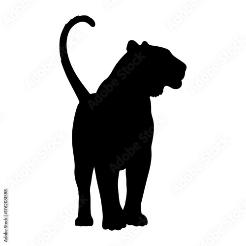 Black silhouette of a tiger standing animal predator
