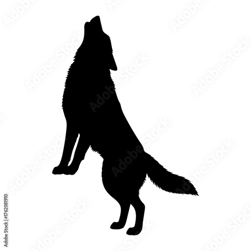 Black wolf howling silhouette animal