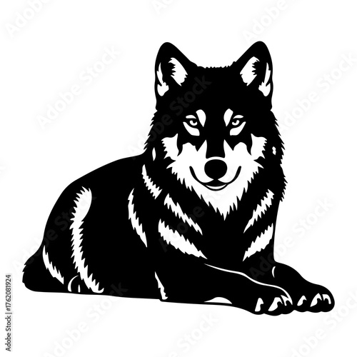 Black wolf resting on white background animal silhouette
