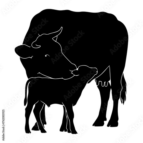 Mother cow calf affection baby