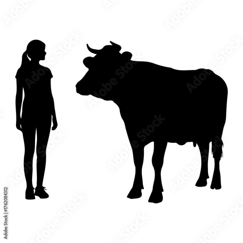 Silhouette girl and cow comparison scale