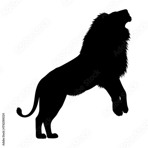 Roaring lion silhouette black white