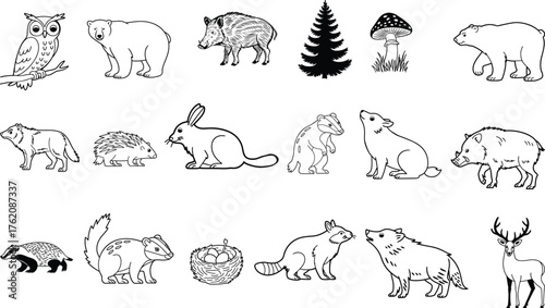 Forest animals doodle icon set. Cute hand drawn sketch illustrations of owl, deer, bear, rabbit, wolf and hedgehog
