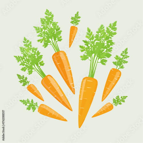 A bright orange carrot vector with simple, playful shapes and clear outlines, perfect for kids’ educational designs about healthy foods and nature