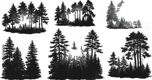 Forest silhouette, pine tree landscape, conifer woods, nature scene, black and white, wilderness art, misty forest, scenic illustration, tranquil woodland, evergreen silhouettes