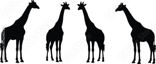Giraffe silhouette illustration, black animal shapes, wildlife vector art, minimal design, African safari theme, isolated giraffes, nature concept, white background