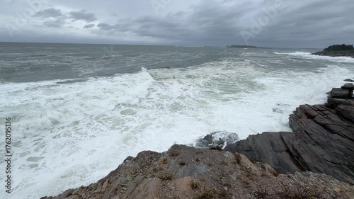 Rocky Stormy Coast & Seagull in Flight