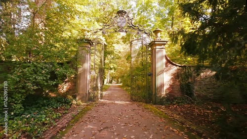 Mysterious gates to the forest. Leaf fall. Yellow leaves on the ground. Sunshine. Romantic mood.